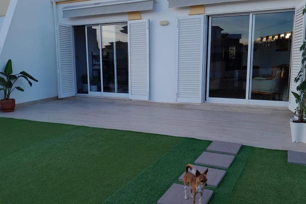 알부페이라 Gale Premium House - Pet Friendly 빌라 외부 사진