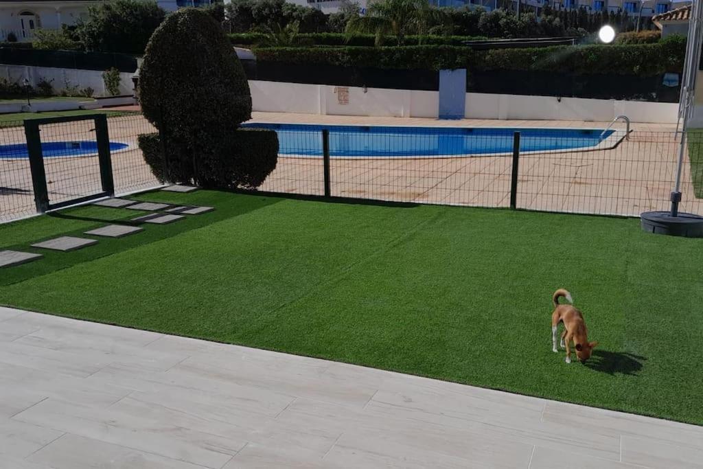 알부페이라 Gale Premium House - Pet Friendly 빌라 외부 사진