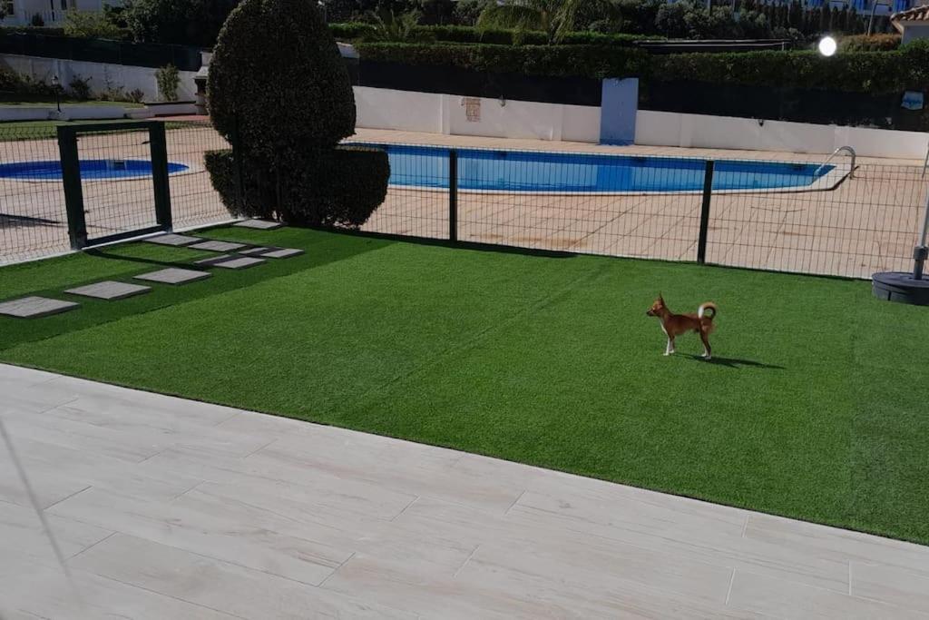 알부페이라 Gale Premium House - Pet Friendly 빌라 외부 사진
